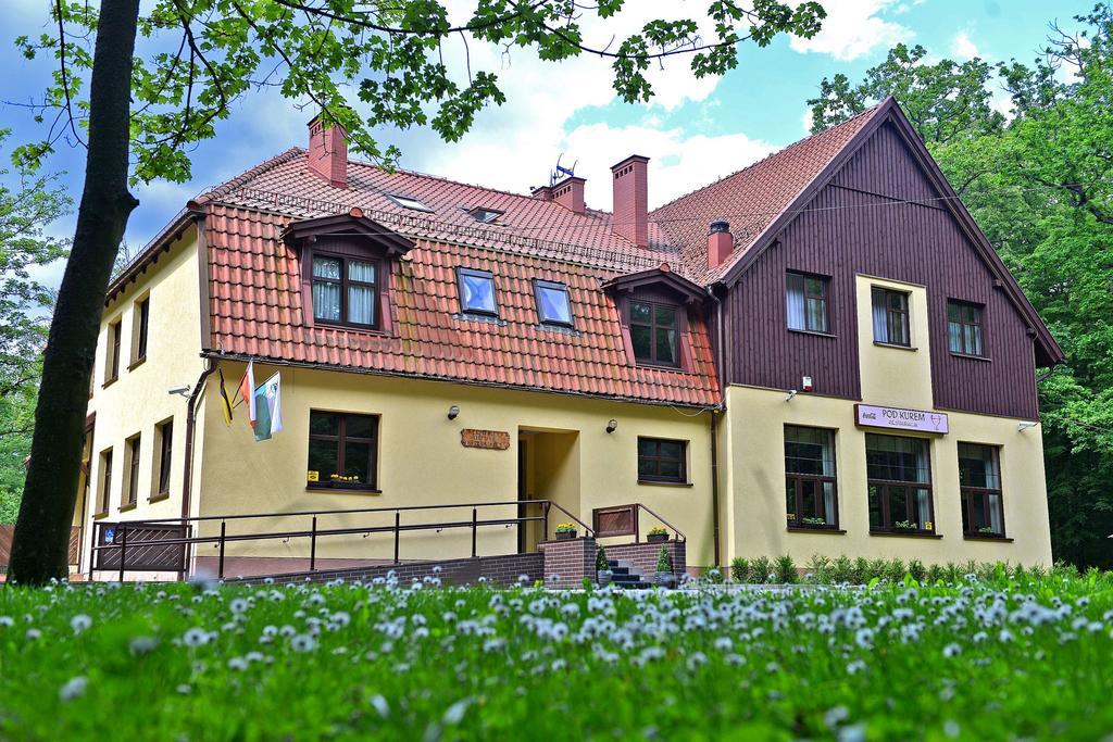 Willa Strzelnica Hotell Kościerzyna Exteriör bild