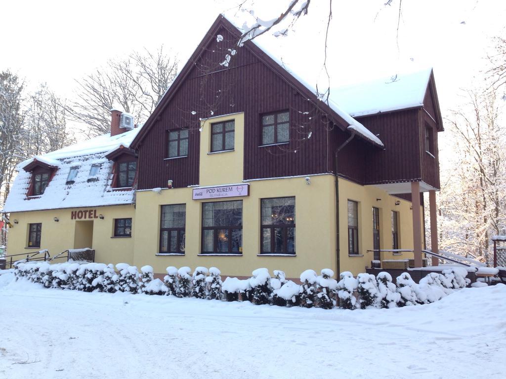 Willa Strzelnica Hotell Kościerzyna Exteriör bild